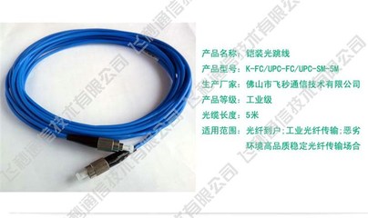 光纤跳线 连接数字世界的精密桥梁