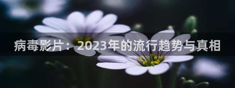 新闻图片